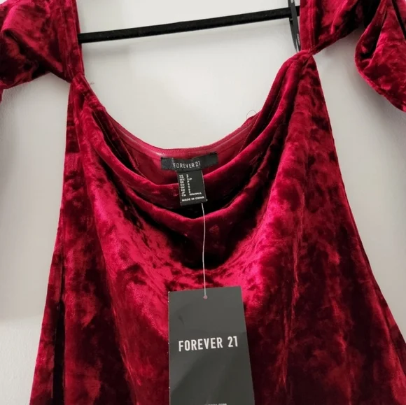 FOREVER 21 Velvet Dress - Picture 2 of 6
